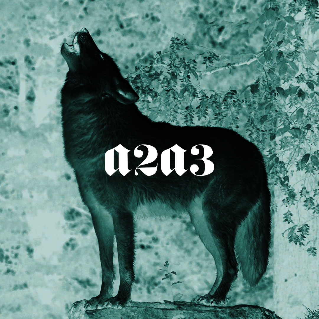 Wolf.co